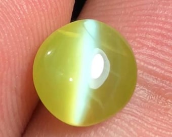 Chrysoberyll Katzenauge 3.08ct Oval Cabochon - Scharfe Chatoyance & Fine Glow