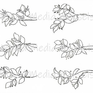 Digital Download - Leafy Branches in Black & White