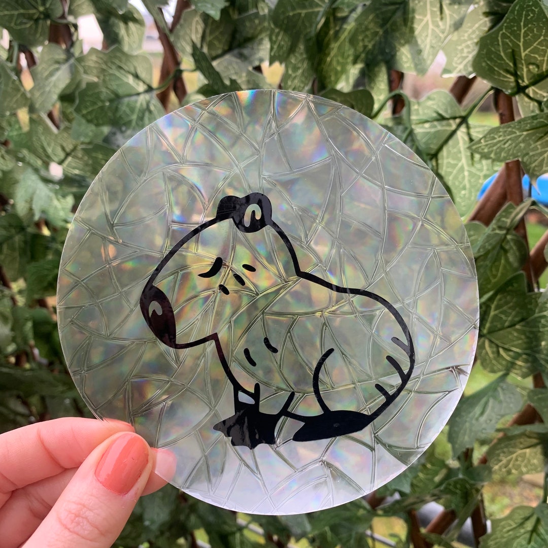 Capybara - Cute Animal Rainbow Suncatcher Sticker - Bright and Colorful ...
