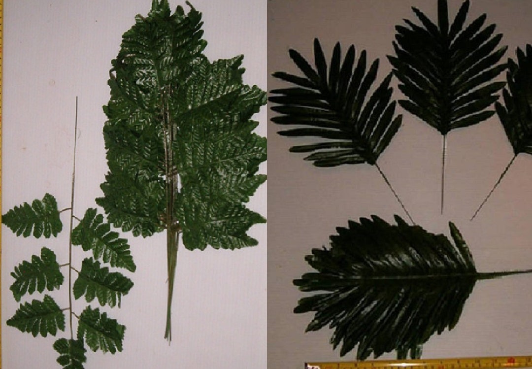 72 Stems of Mixed Silk Leather Leaf Fern and Palm Fern for Floral