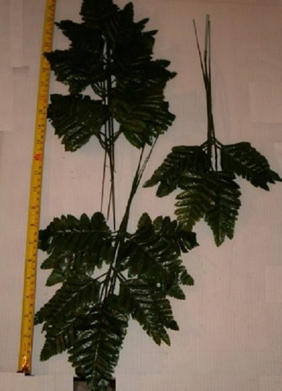 12 Stems Of Silk Leather Leaf Fern For Flower Arranging Etsy