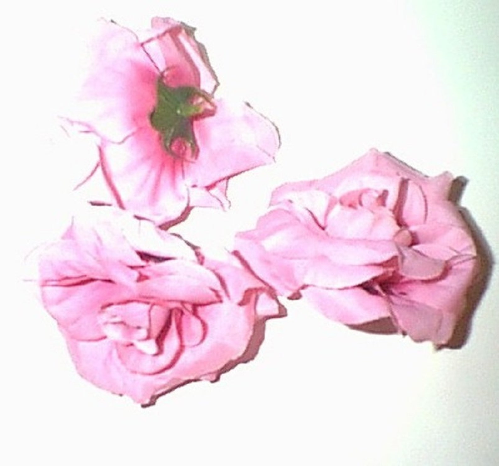 FREE SHIPPING 144 Stems of Silk Leather Leaf Fern 12 Free Etsy