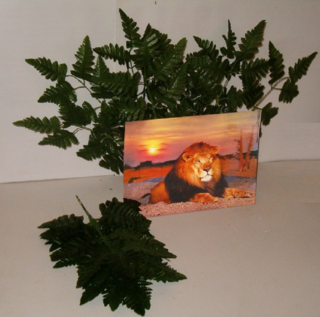 144 Stems of Silk Leather Leaf Fern for Flower Arranging and 3 Etsy