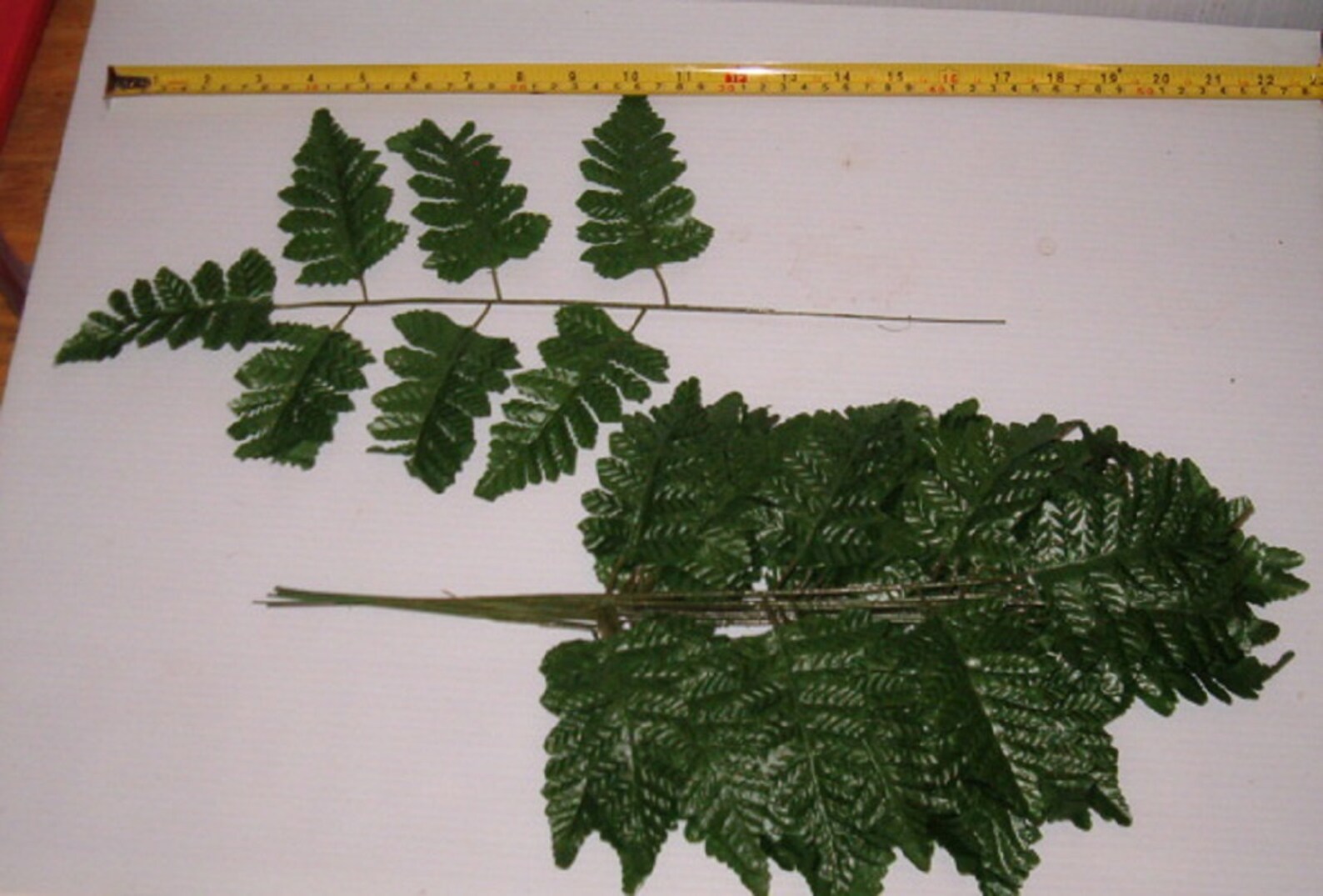 FREE SHIPPING 144 Stems of Silk Leather Leaf Fern 12 Free Etsy