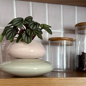 Peut inclure: Un petit vase en céramique rose clair et crème contient une plante verte aux feuilles texturées. Deux bocaux en verre transparent avec des couvercles en bois sont à côté du vase. Les bocaux sont sur une étagère en bois contre un mur carrelé rose.