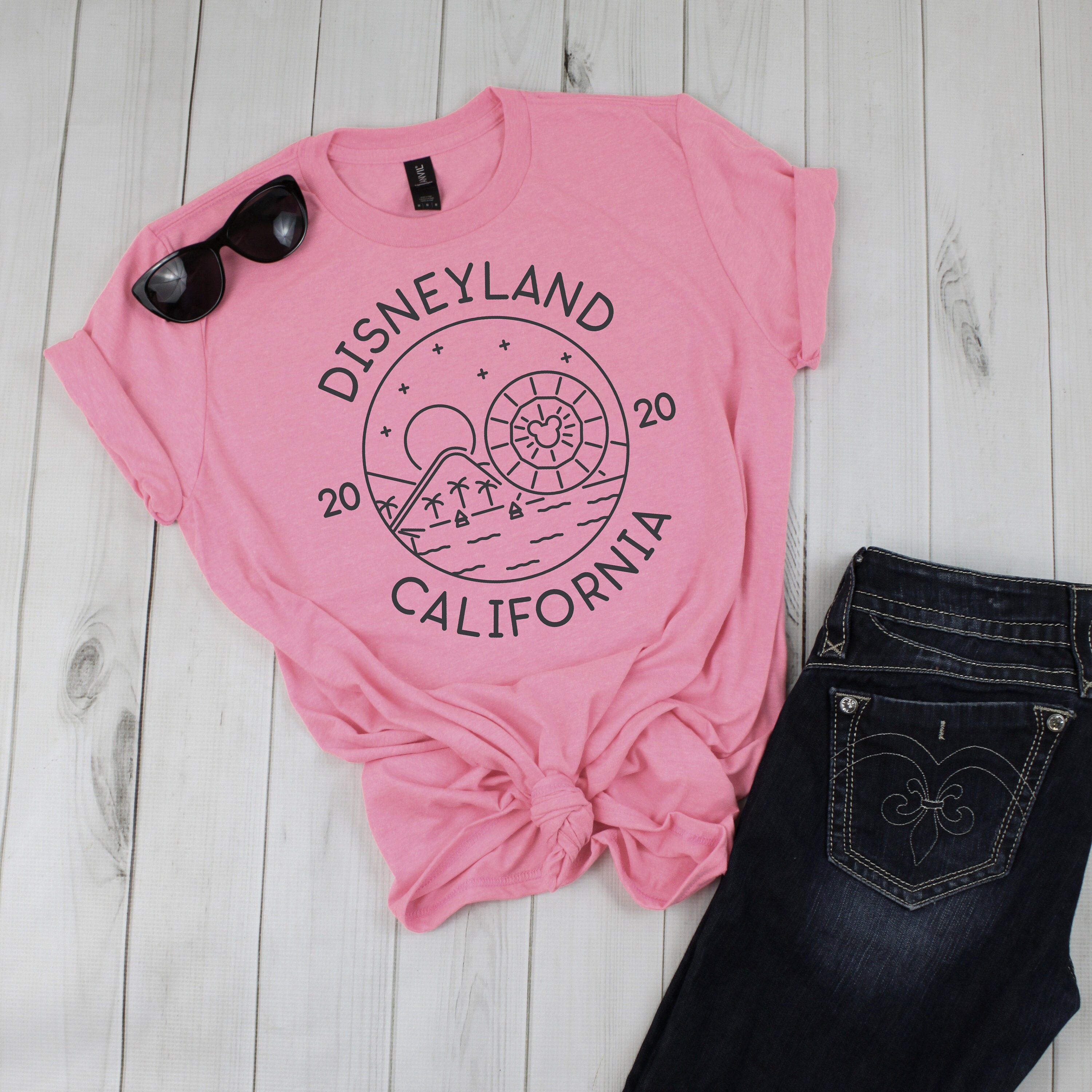 Disneyland shirt Disneyland family shirts Disneyland Etsy