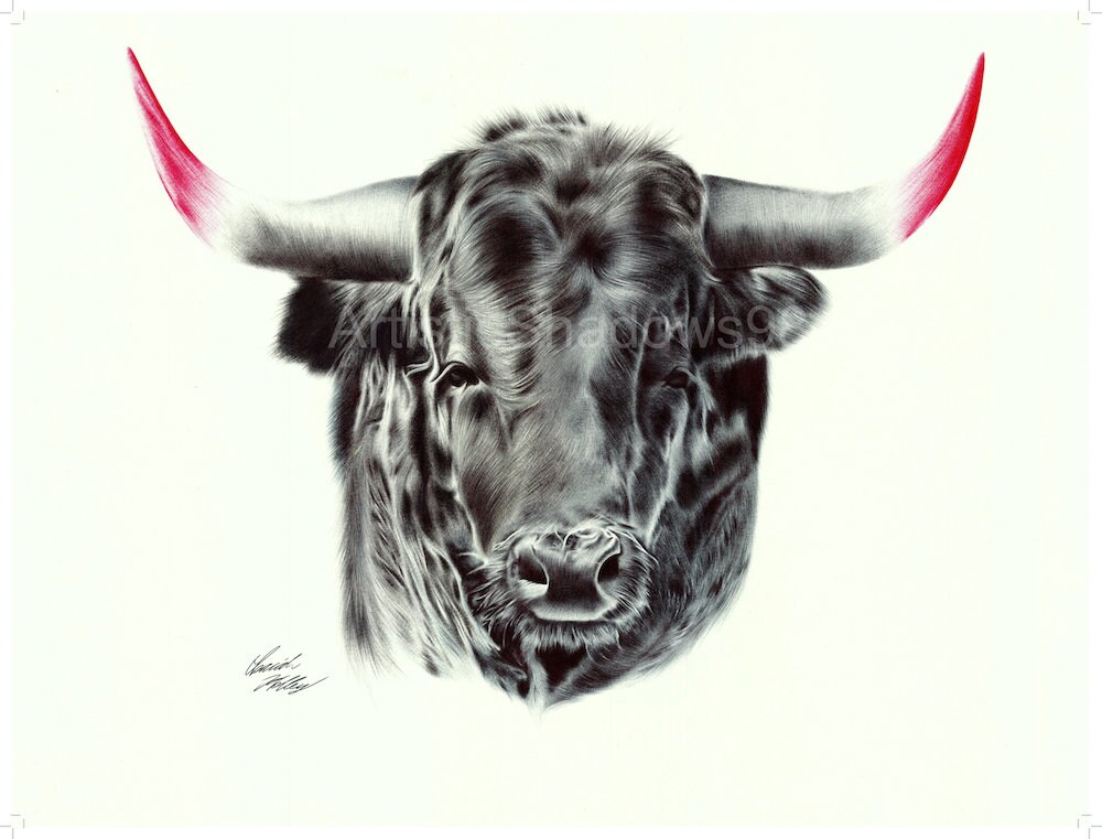 Black Bull Illustration Wall Decor Animal Wall Art Bull Etsy