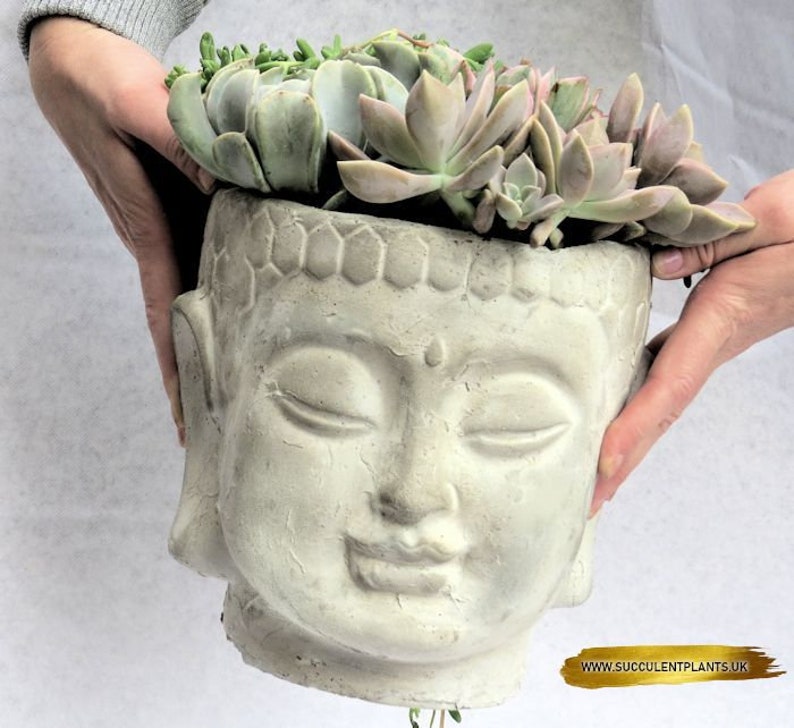 extra large buddha head planter