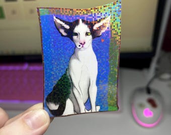 Oriental Shorthair Cat Sticker - "That Cat Has Been Framed!!" - HoLoGrApHiC - 2PC