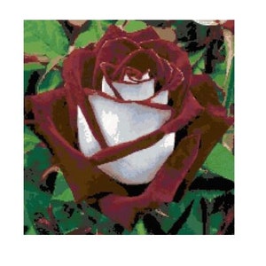 Osiria Rose Cross Stitch Chart