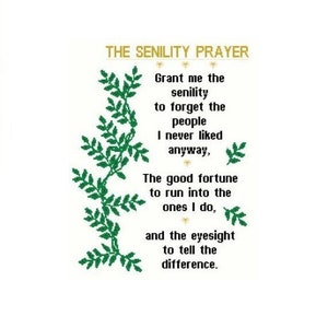Senility Prayer Cross Stitch Chart