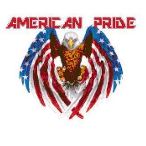 Amerikanische Pride Kreuzstichvorlage