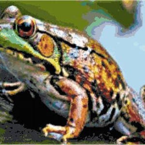 Frog Cross Stitch Chart