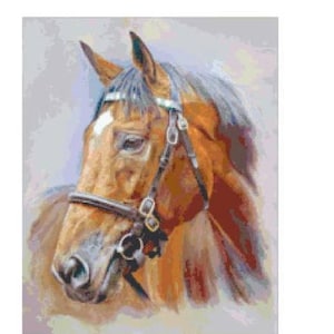 Elegant Horse Cross Stitch Chart