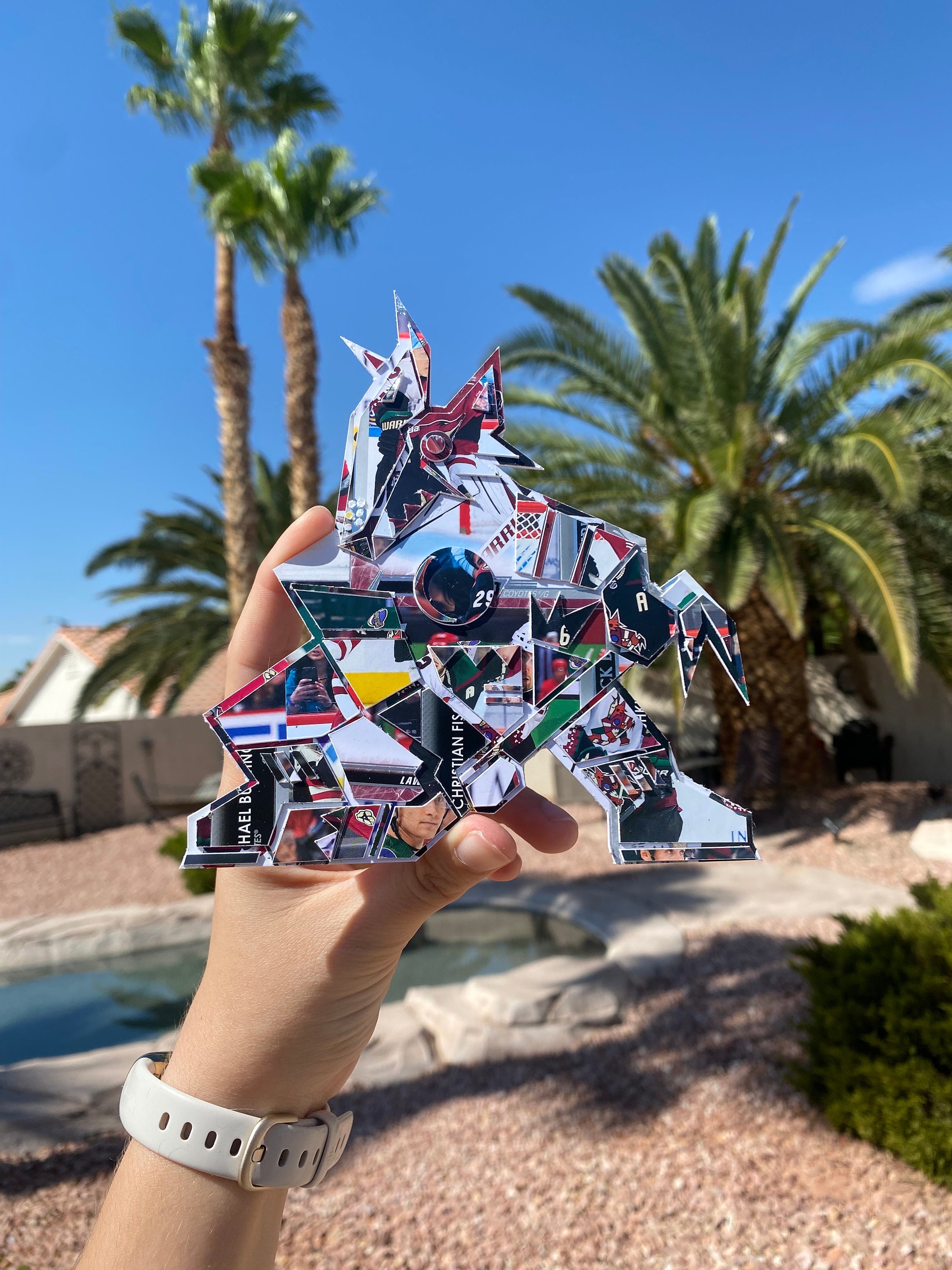 Kachina Arizona Coyotes Sticker - Kachina Arizona Coyotes Coyotes -  Discover & Share GIFs