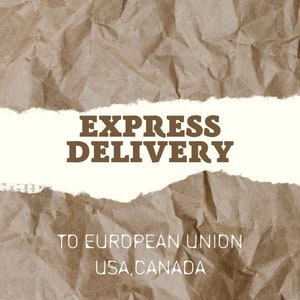 May include: A brown paper background with a white torn strip that says "EXPRESS DELIVERY TO EUROPEAN UNION USA, CANADA".