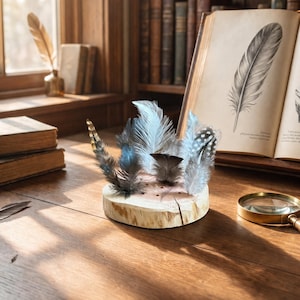 May include: A circular light-colored wood slice base featuring multiple drilled holes, holding an assortment of grey, white, and brown patterned feathers. The wood base has a visible natural grain and a small crack on the side, serving as a display stand.