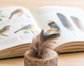 Feather wood hardwood