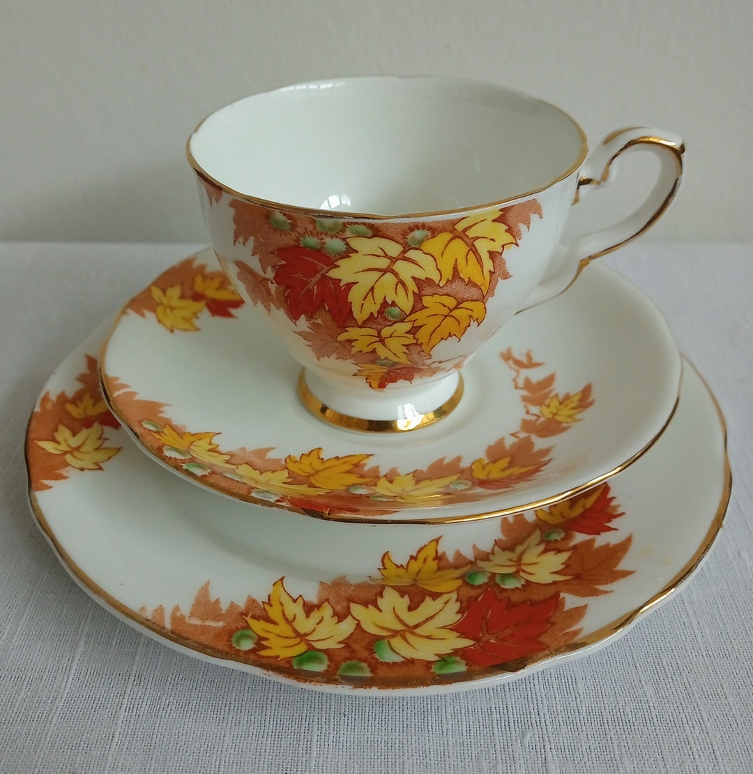 Vintage Royal Stafford Bone China Autumn Leaf Pattern Teacup Saucer