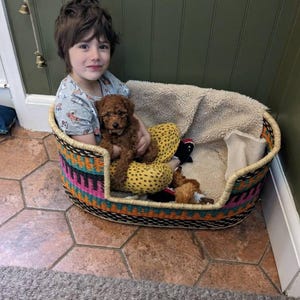 May include: A young child sits in a colorful woven pet bed with a small brown puppy. The bed has a soft, white blanket inside.