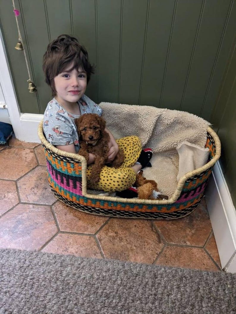 May include: A young child sits in a colorful woven pet bed with a small brown puppy. The bed has a soft, white blanket inside.