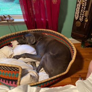 May include: A gray dog sleeping in a woven basket bed with a colorful geometric pattern. The bed is filled with white bedding and the dog is curled up on its side.
