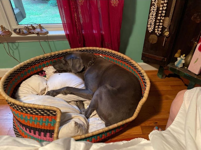 May include: A gray dog sleeping in a woven basket bed with a colorful geometric pattern. The bed is filled with white bedding and the dog is curled up on its side.