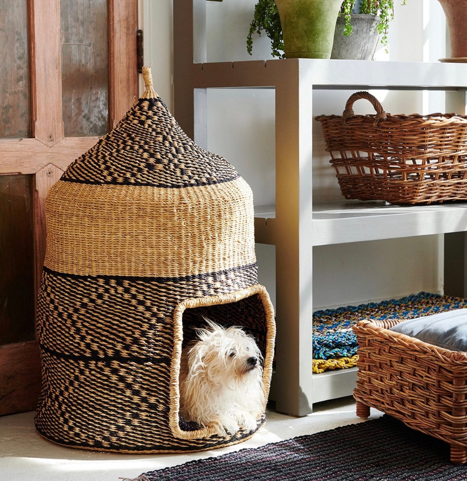 12+ Beautiful Rattan Dog Beds For Australians (2023 Update)