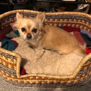 Handwoven Bolga Pet Basket: Comfortable Wicker Dog/Cat Bed