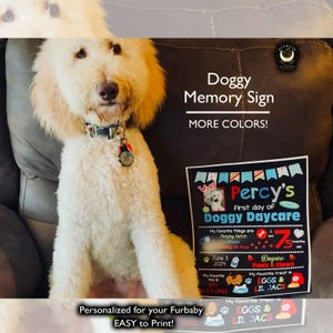 First Day of Doggy Daycare Sign, personalized dog printable pet photo prop, Gift for Dog Owner Personalized Chalkboard, Digital file
