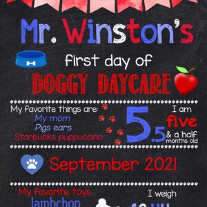 DOGGY DAYCARE Sign Pet Photo Prop, Puppy Dog First Day of School Gift ...