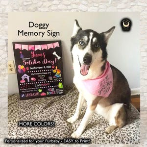 Cartello per l'anniversario dell'adozione del cane GOTCHA DAY / Poster per il compleanno del cucciolo di cane, regalo per il proprietario di un cane, cartello personalizzato per l'adozione di un animale domestico, stampabile su lavagna