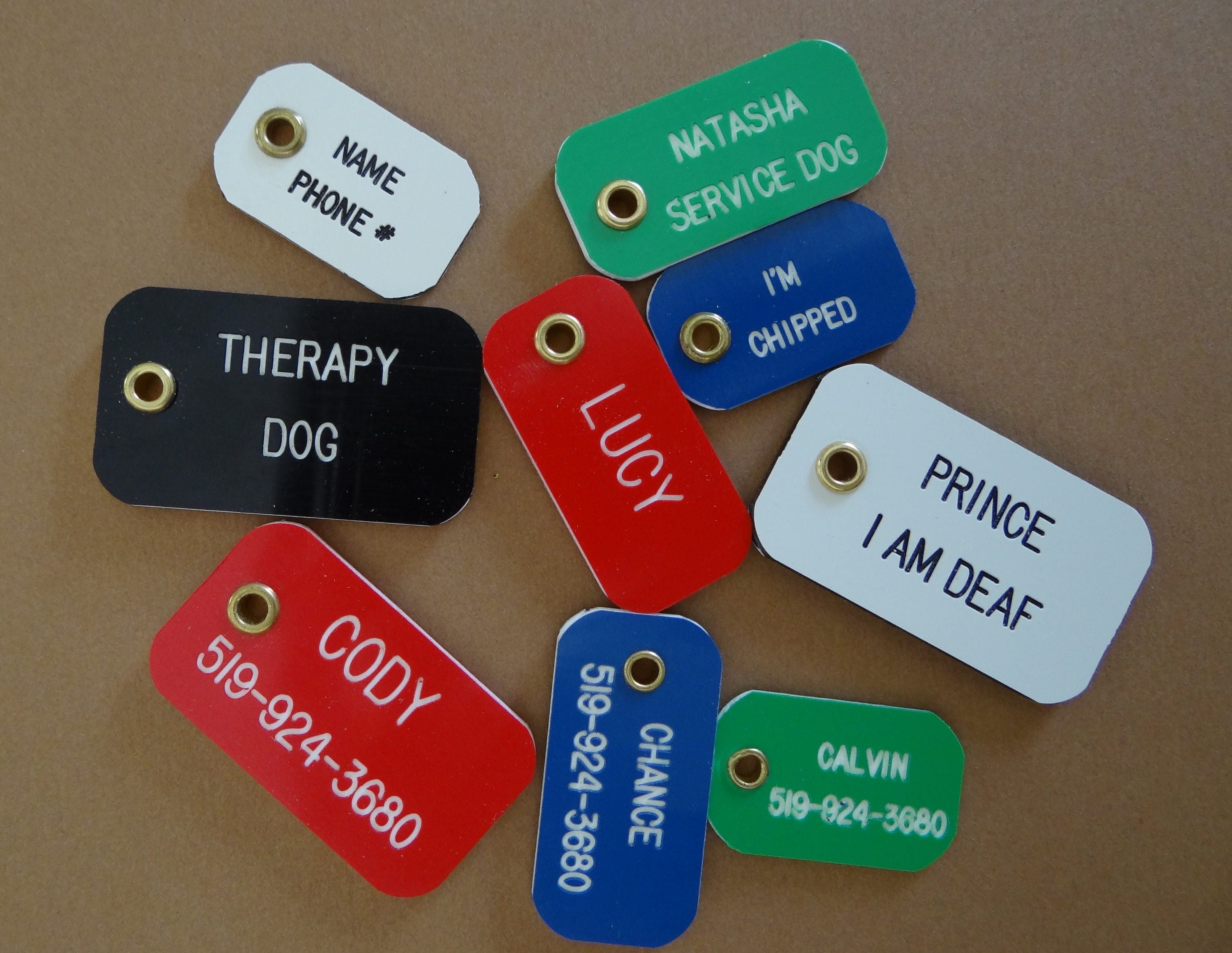 Étiquette d'animal de Compagnie Rétro Acrylique Durable et Légère en 3 Tailles 5 Couleurs