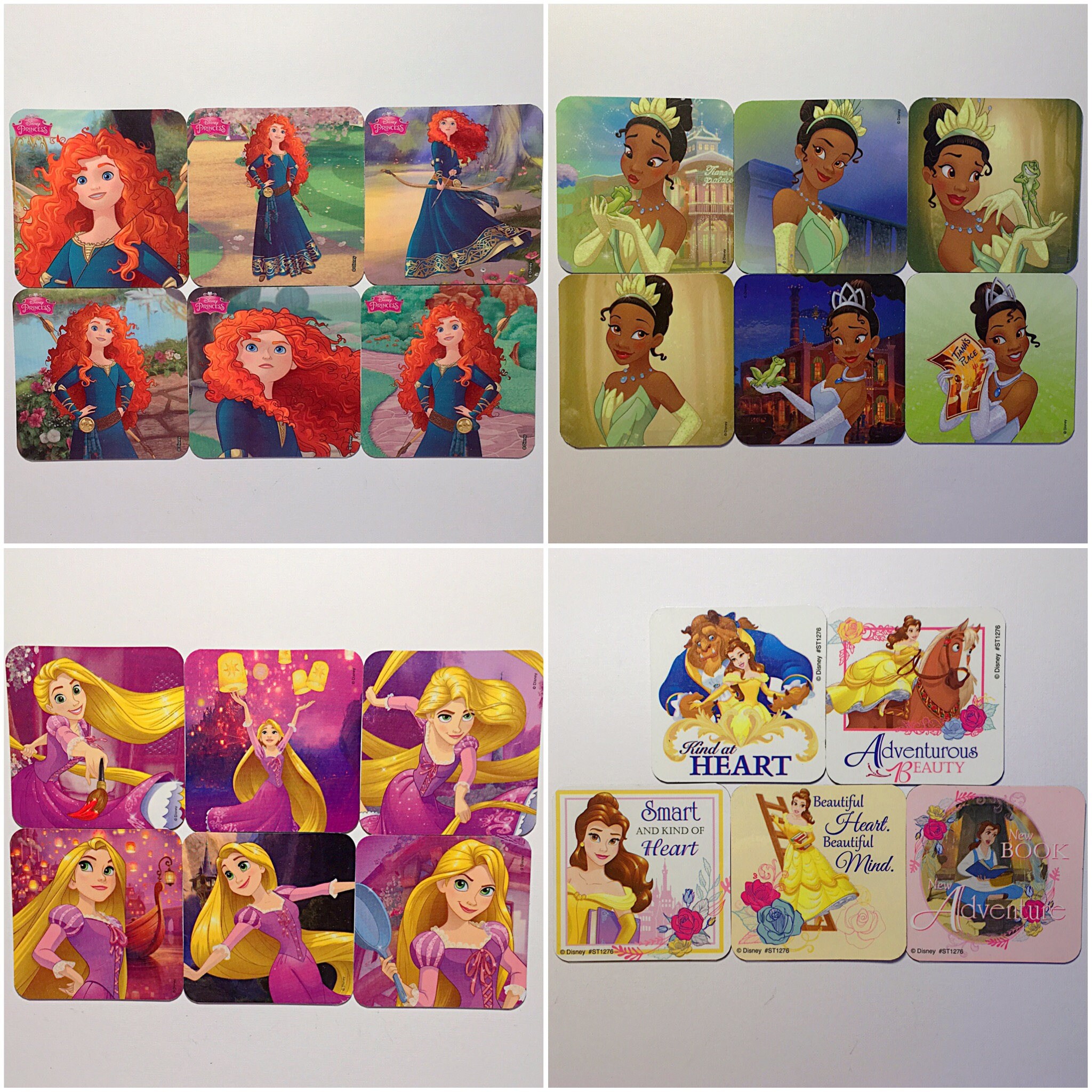 brave princess full name brave princess full name