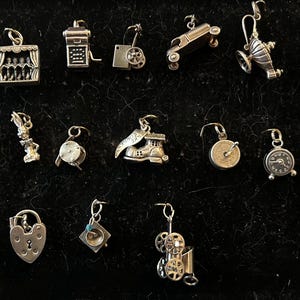 Moveable Sterling Silver Charms Sold Separately from Variations New Charms March 8, 2025