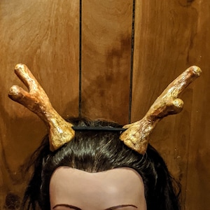 Deer Antlers