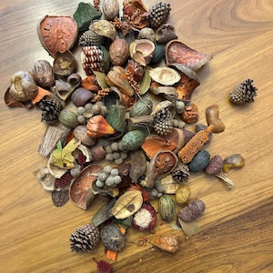 Puede incluir: Una colección de elementos de popurrí secos, que incluyen piñas, vainas de semillas y varias frutas y elementos botánicos secos. El surtido presenta una gama de colores naturales, como marrones, naranjas y verdes, dispuestos sobre una superficie de madera.