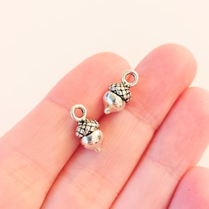 May include: Two silver acorn charms with a loop for attaching to jewelry or crafts.