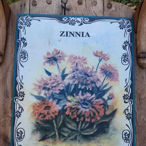 Vintage Aesthetically Brilliant 'ZINNIA' American Seed Company Sign With Enticing Flower Arrangement.