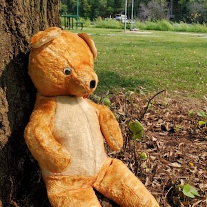 Puede incluir: Un oso de peluche vintage marrón con barriga blanca, sentado contra un tronco de árbol. El oso tiene un ojo negro grande y la boca ligeramente abierta.