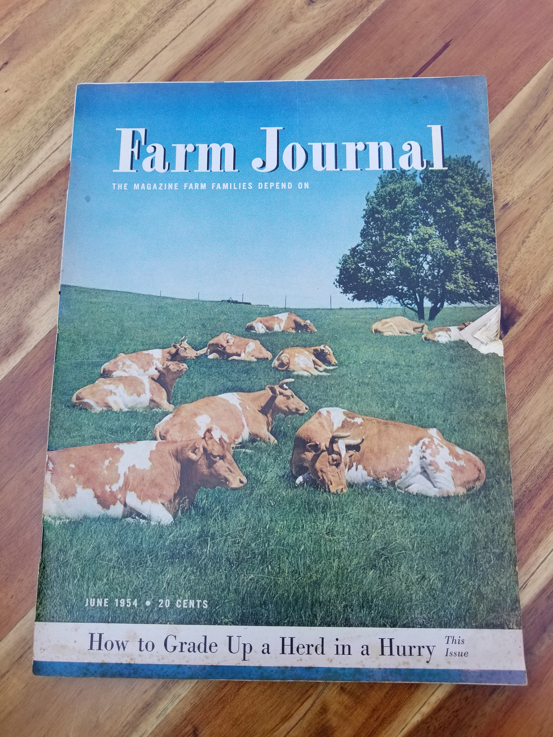 1954 June. Farm Journal. How to Grade Up a Herd in a Hurry. Etsy