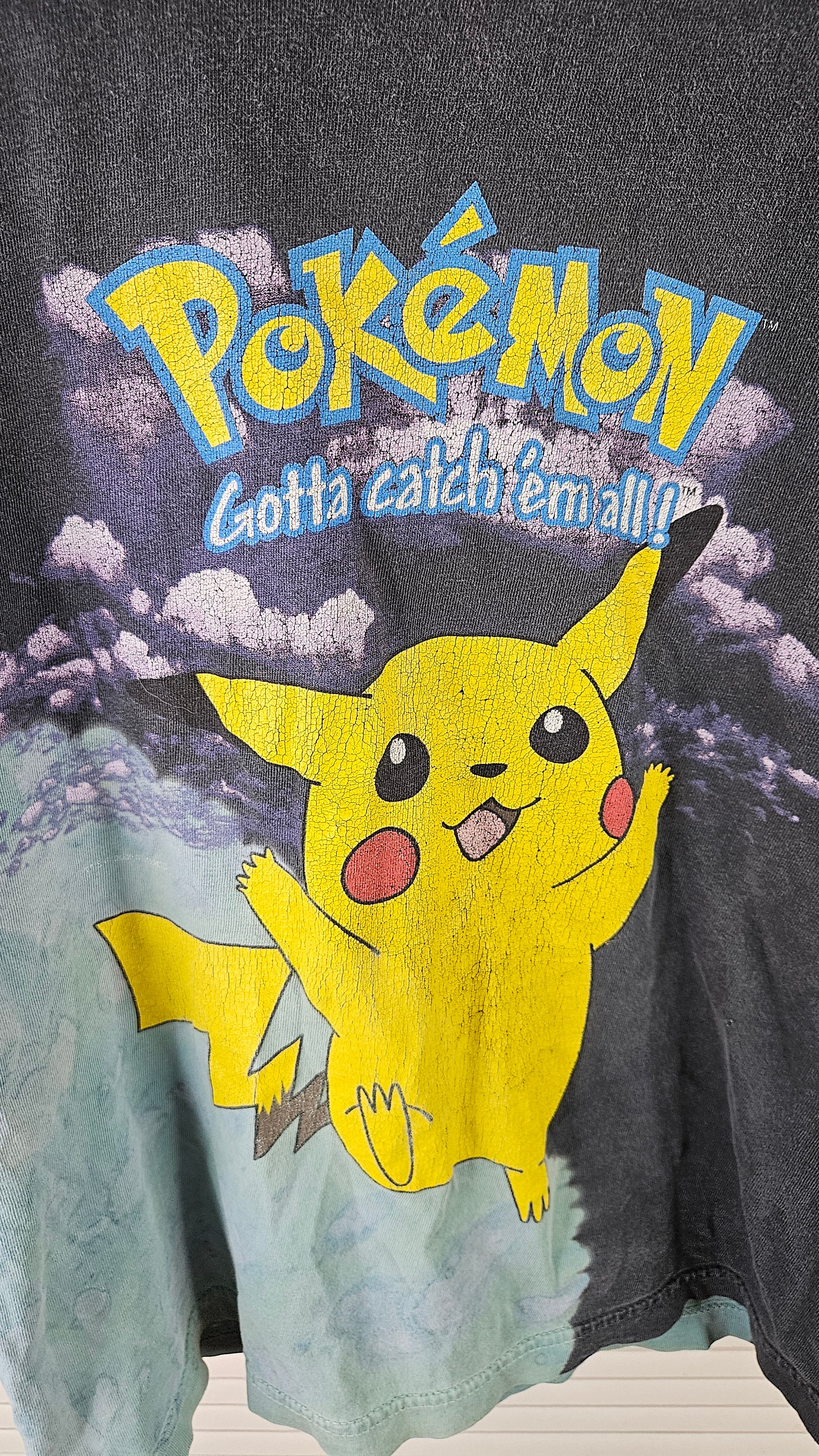 スモール ヴィンテージ 2000 任天堂 ポケモン トゥルー ヴィンテージ