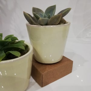 vase succulent vases succulents wedding gift ideas wedding mini vases