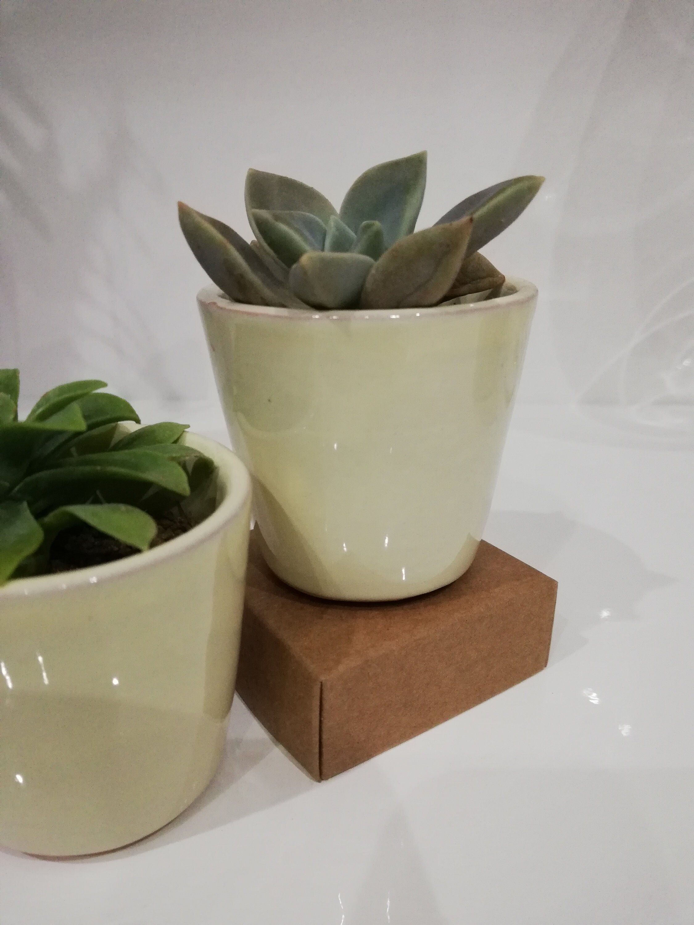 Vaso per piante grasse da interno - Italia