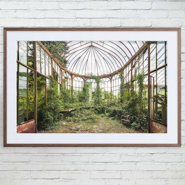 Vintage Overgrown Old Greenhouse, Belgium - Framed/Unframed Fine Art Print (Urban Exploration & Abandoned Places Photography Urbex Wall Art)