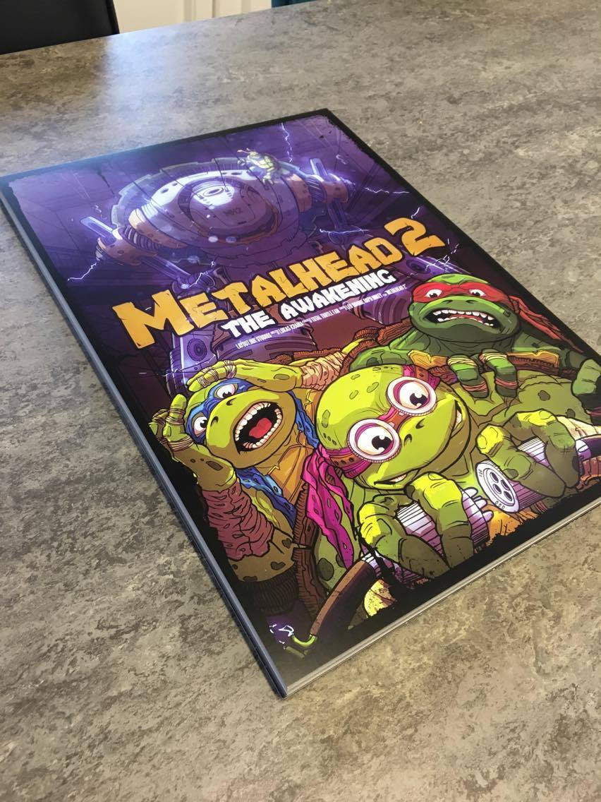 Premium Quality Ninja Turtles A3 Poster/ Art Print - Limited Edition of ...