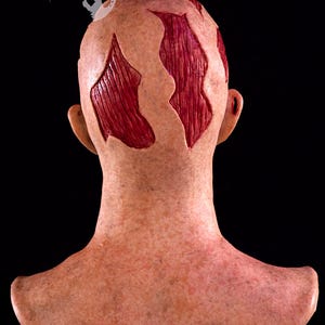 May include: A prosthetic head with exposed red muscle tissue, designed to simulate a scalp wound. The head is flesh-toned with areas of exposed muscle. The Moonstruck Studios logo is visible.
