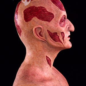 May include: A side profile of a latex mask with exposed muscle details. The mask is flesh-toned with red muscle accents and a detailed facial structure. The mask has the text "MOONSTRUCK STUDIOS" in a circular design.