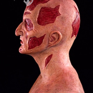 May include: A side profile of a gruesome mask with exposed muscle and skin. The mask is flesh-toned with red muscle details and a scarred appearance. The mask has a realistic, horror-themed design, perfect for Halloween or cosplay.