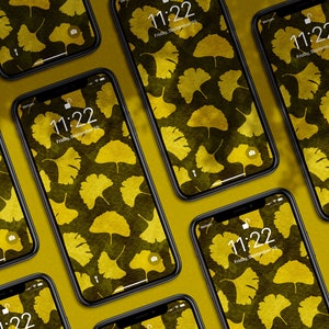 Ginkgo Wallpaper - iphone android fall digital download wallpaper background ginkgo leaves